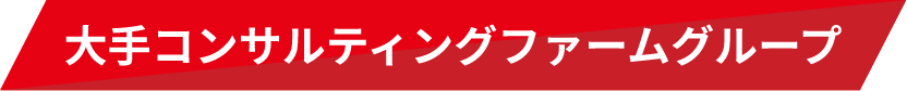 大手コンサルティングファームグループ